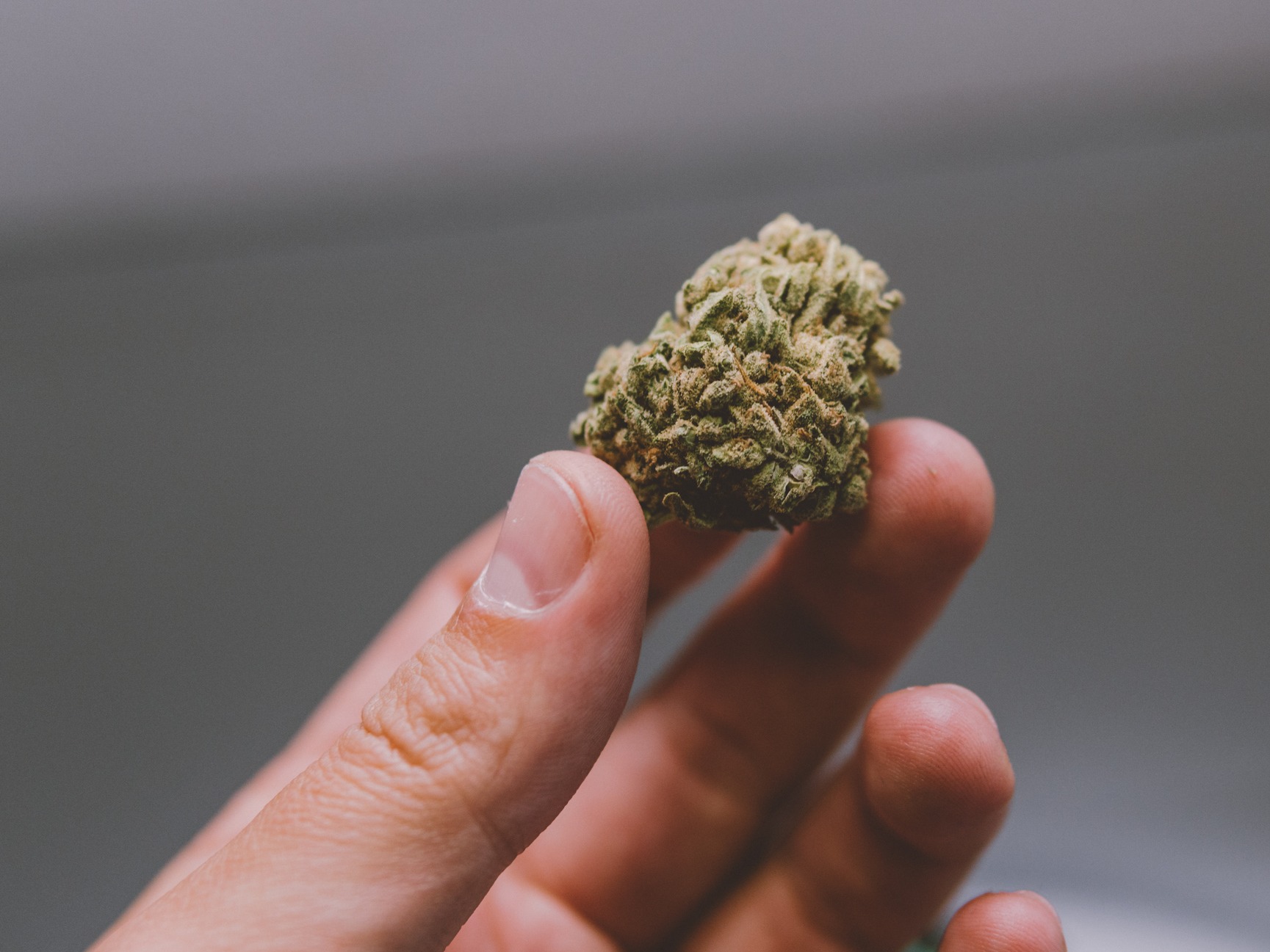 Discover the best thca flower in the usa with Trusted Reviews